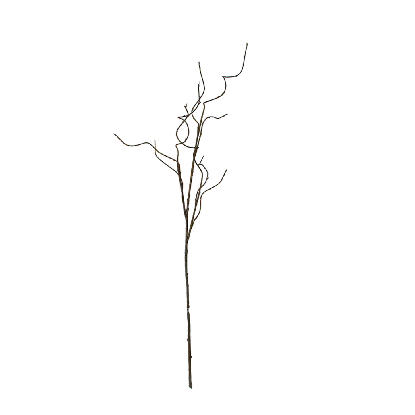 Amelia Ceramic Vase With Willow Stems