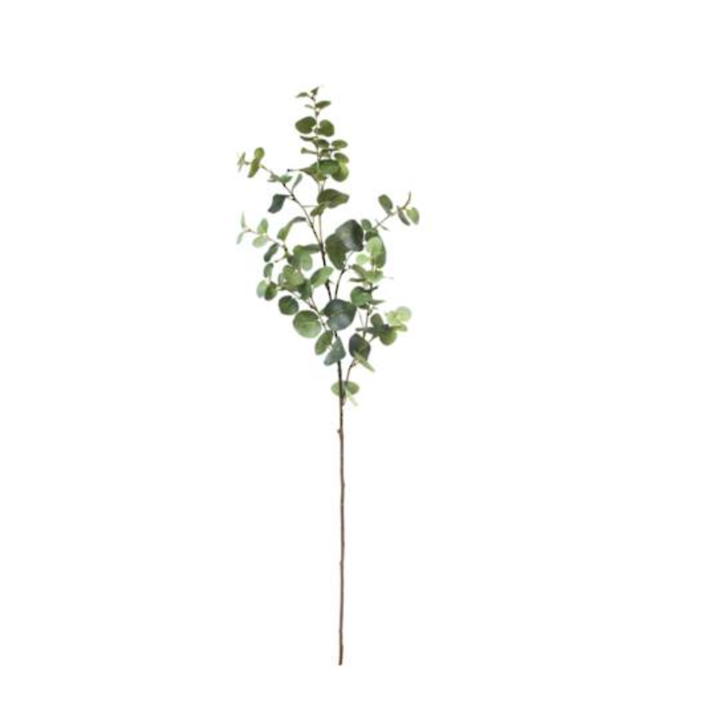 Faux Eucalyptus Foliage