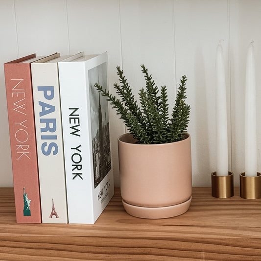 Oslo Pot Peach - Medium